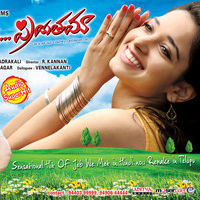 Priya Priyatama Movie Wallpapers | Picture 65469
